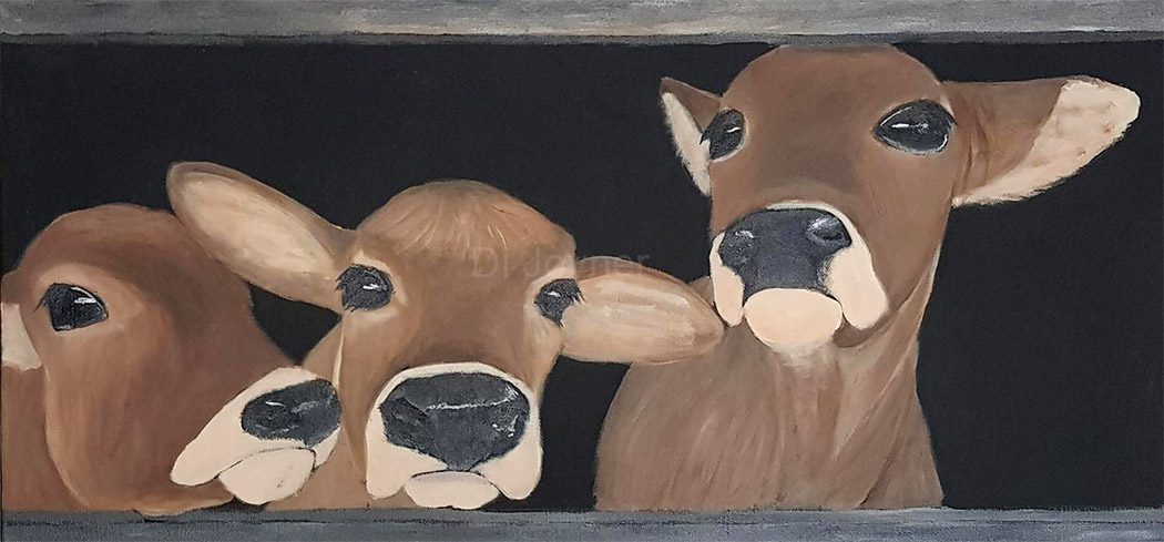 Curious Calves by Di Joyner