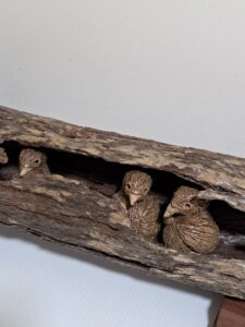 Gallery News 65 pottery baby birds in a log